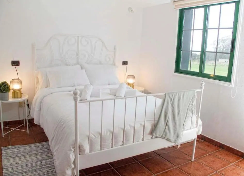 Holiday home La Macadamia Villa La Laguna  Spain